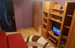 Apartament cu 1 camera, 22 mp, mobilat, Buziasului
