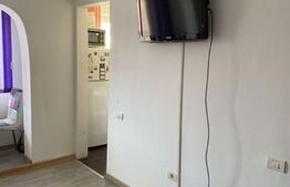 Apartament cu o camera, 28 mp, decomandat, Exterior Vest