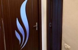 Apartament cu o camera, 28 mp, decomandat, Exterior Vest