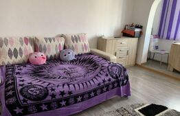 Apartament cu o camera, 28 mp, decomandat, Exterior Vest