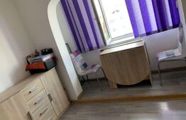 Apartament cu o camera, 28 mp, decomandat, Exterior Vest