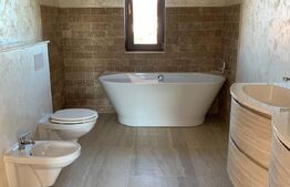 Casa cu 4 camere, 183 mp utili, teren cu 630 mp, Ciarda Rosie