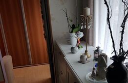 Apartament cu 2 camere, 43 mp, etaj intermediar, Sagului