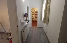 Apartament cu 2 camere, 50 mp, la casa, Iosefin
