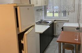 Apartament cu 2 camere, 41 mp, parter, Sagului