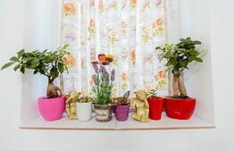 Super Ocazie! Apartament 2 camere, incalzire in pardosea, loc parcare, Giroc