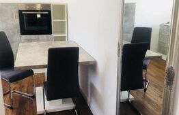 Apartament cu 1 camera, 42 mp utili, parter, Dumbravita