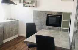 Apartament cu 1 camera, 42 mp utili, parter, Dumbravita