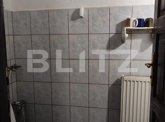 Spațiu comercial de închiriat Sagului - 104624SIC | BLITZ Timișoara | Poza8