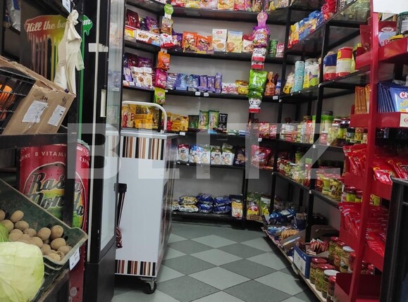 Spațiu comercial de închiriat Sagului - 104624SIC | BLITZ Timișoara | Poza2