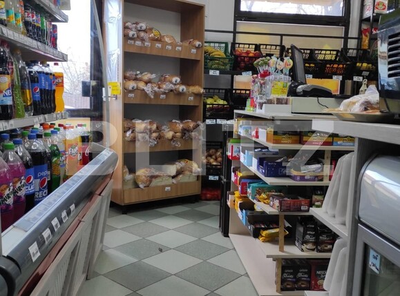 Spațiu comercial de închiriat Sagului - 104624SIC | BLITZ Timișoara | Poza1