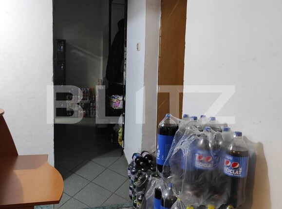 Spațiu comercial de închiriat Sagului - 104624SIC | BLITZ Timișoara | Poza4