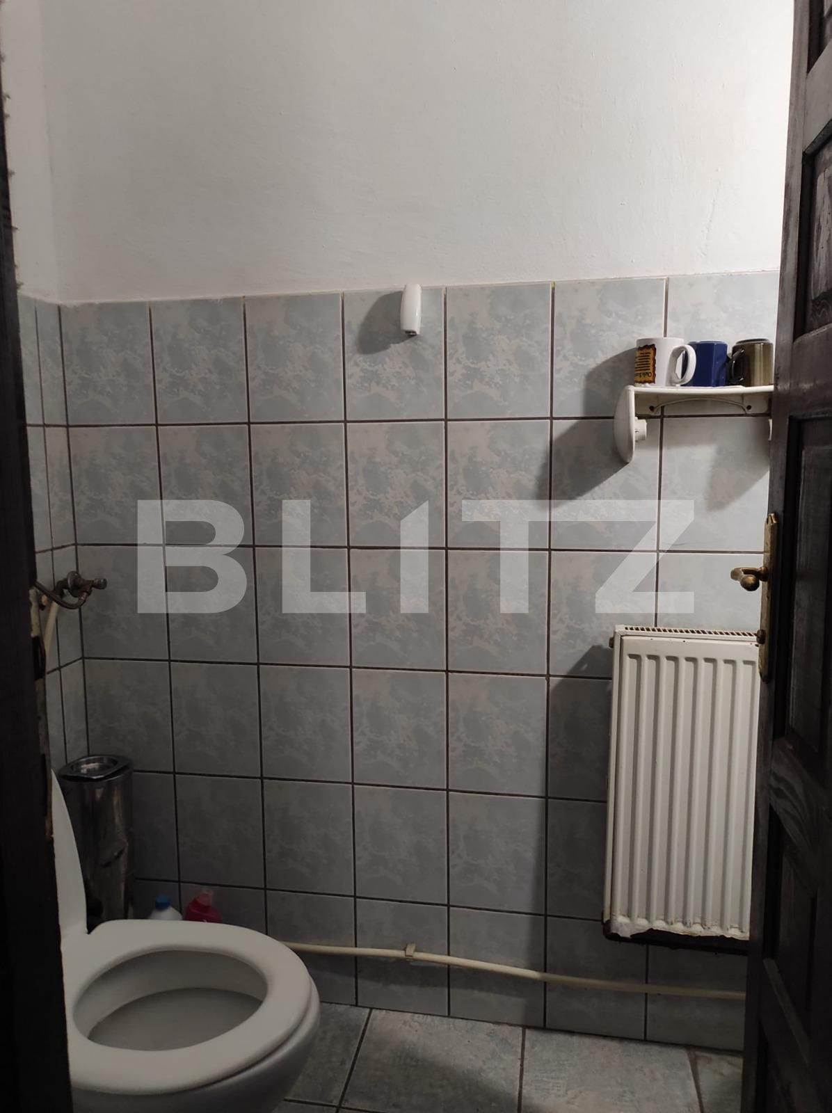 Spațiu comercial de închiriat Sagului - 104624SIC | BLITZ Timișoara | Poza8