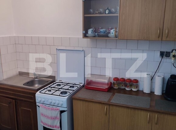 Apartament de închiriat 2 camere Aradului - 104690AI | BLITZ Timișoara | Poza7
