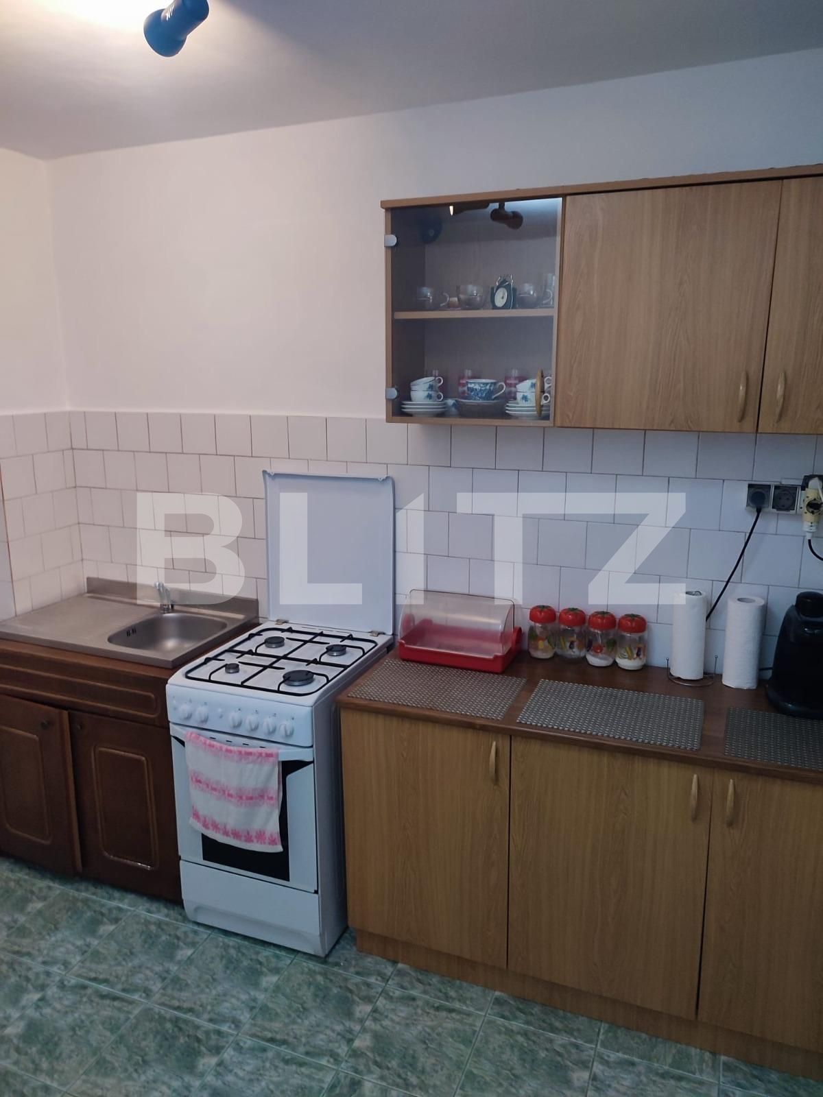 Apartament de închiriat 2 camere Aradului - 104690AI | BLITZ Timișoara | Poza7