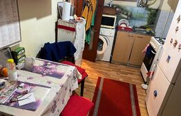 Apartament cu 2 camere, 47 mp, parter, Balcescu