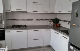 Casa tip duplex, 133 mp utili, 378 mp, Dumbravita