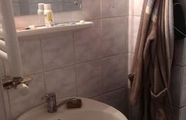 Apartament o camera, in Iosefin, 32 mp