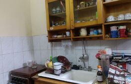 Apartament o camera, in Iosefin, 32 mp