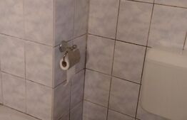 Apartament o camera, in Iosefin, 32 mp