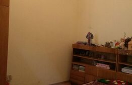 Apartament o camera, in Iosefin, 32 mp