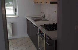 Penthouse cu 3 camere, 230 mp, Aradului