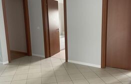 Penthouse cu 3 camere, 230 mp, Aradului