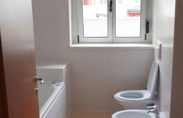 Penthouse cu 3 camere, 230 mp, Aradului