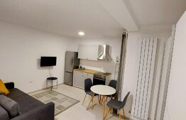 Garsoniera, 28 mp, parter, Calea Buziasului 