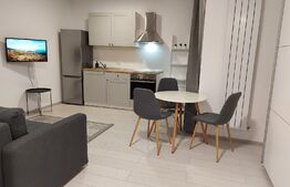 Garsoniera, 28 mp, parter, Calea Buziasului 