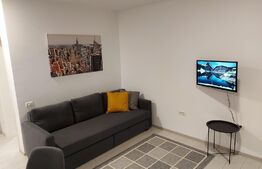 Garsoniera, 28 mp, parter, Calea Buziasului 