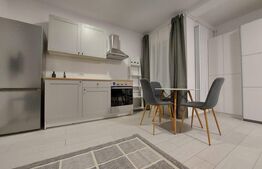 Garsoniera, 28 mp, parter, Calea Buziasului 