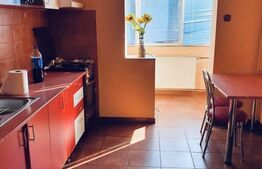 Apartament cu 2 camere, 54 mp, decomandat, Lipovei