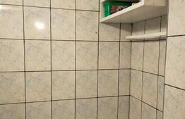 Garsoniera, 22 mp, etaj intermediar, Blascovici