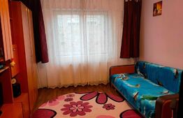 Garsoniera, 22 mp, etaj intermediar, Blascovici