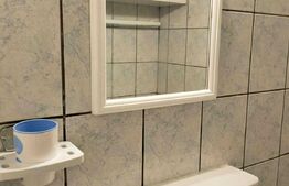 Garsoniera, 22 mp, etaj intermediar, Blascovici