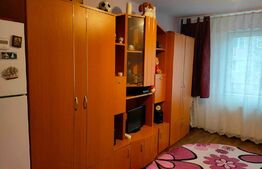 Garsoniera, 22 mp, etaj intermediar, Blascovici