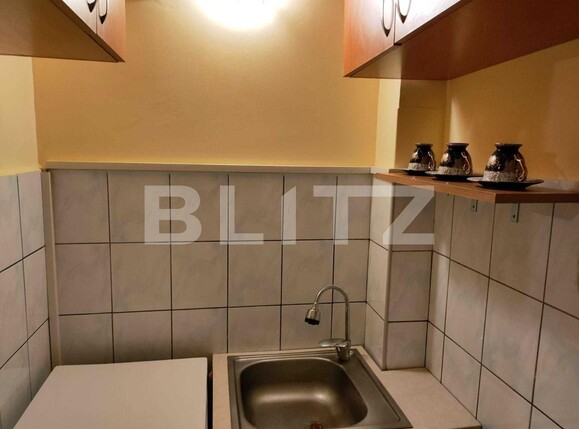 Garsonieră de vânzare Blascovici - 104932AV | BLITZ Timișoara | Poza5