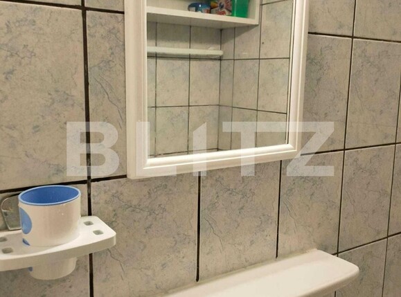 Garsonieră de vânzare Blascovici - 104932AV | BLITZ Timișoara | Poza7