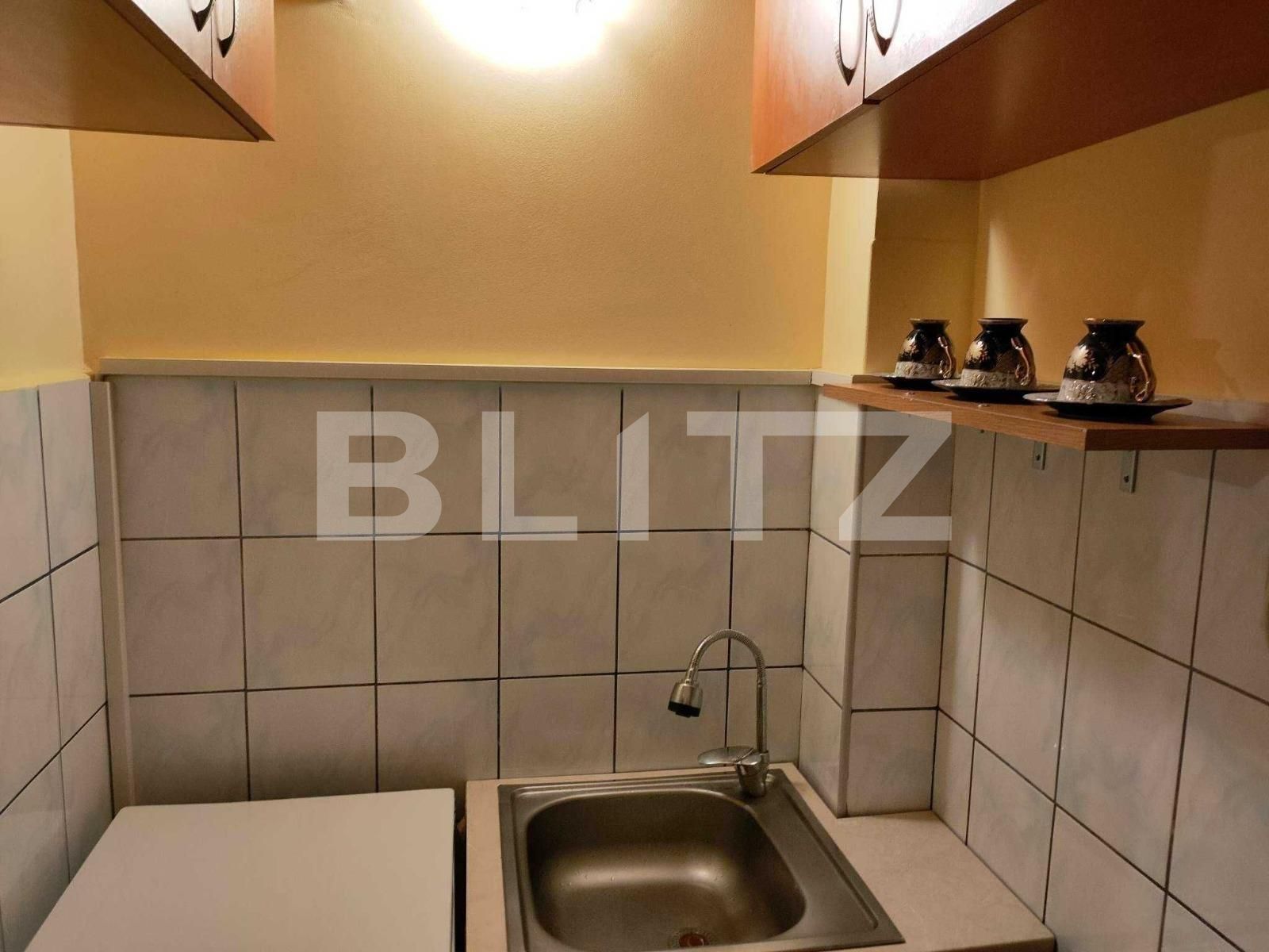 Garsonieră de vânzare Blascovici - 104932AV | BLITZ Timișoara | Poza5