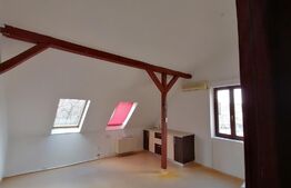 Casa sau spatiu comercial, 220 mp, 5 locuri de parcare, zona Complex Studentesc