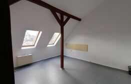 Casa sau spatiu comercial, 220 mp, 5 locuri de parcare, zona Complex Studentesc