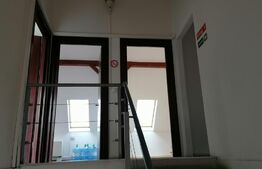 Casa sau spatiu comercial, 220 mp, 5 locuri de parcare, zona Complex Studentesc