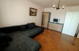 Apartament cu 1 camera, 40 mp, etaj intermediar, zona Simion Barnutiu
