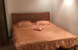 Apartament cu 2 camere, 44 mp, demisol, zona Centrala