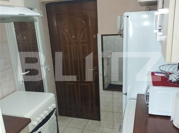 Garsonieră de vânzare Buziasului - 105009AV | BLITZ Timișoara | Poza6