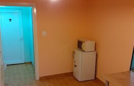 Garsoniera, 22 mp, mobilata, zona Dorobantilor