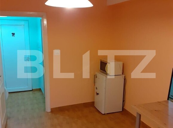 Garsonieră de vânzare Dorobantilor - 105016AV | BLITZ Timișoara | Poza3