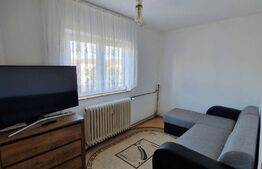 Apartament cu 2 camere, 30 mp, renovata, Sagului