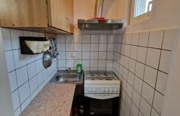 Apartament cu 2 camere, 30 mp, renovata, Sagului